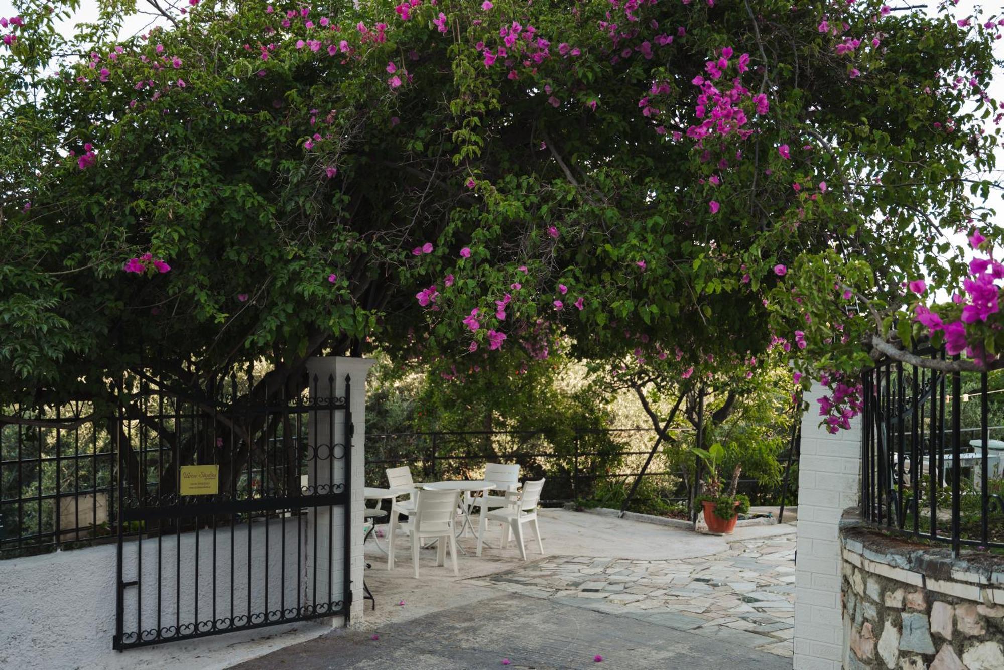 Ulisse Apartments ปาเลโอกัสไตรซา ภายนอก รูปภาพ